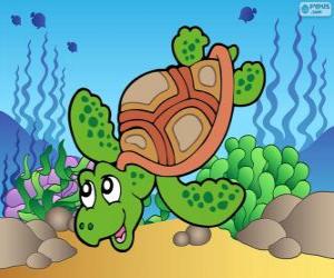 yapboz Deniz Kaplumbağası